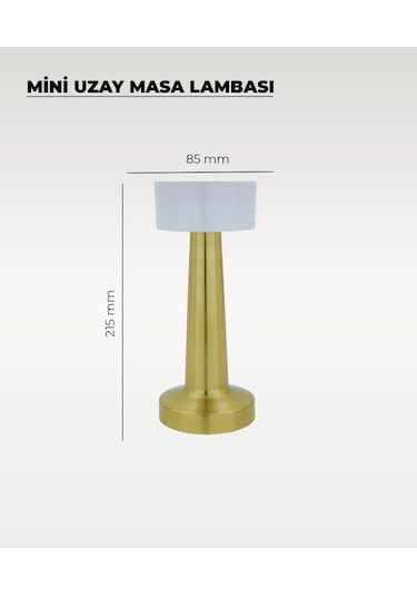 Gold Mini Uzay Masa Lambası - Dokunmatik - 3 Renk Işık Rose