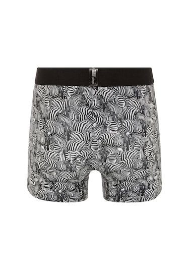 Farm Animals Zebra Desenli Boxer