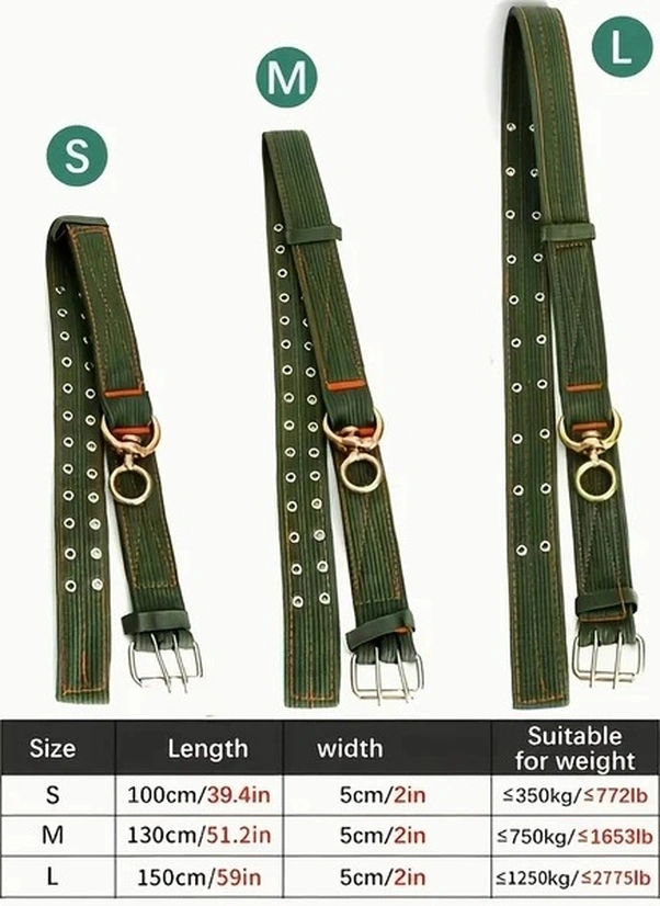 Trendooze Güneş022 L Model Kalın 4 Katlı Tokalı İnek Boyunluğu Dayanıklı Kanvas Tasma Robalı İnek Koyun At Köpek