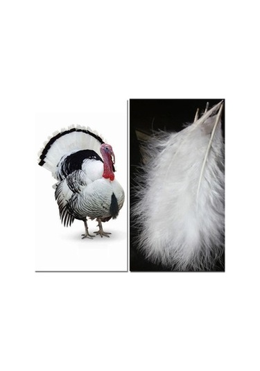 Lijinxu Dreamy White Dream Catcher Tüy Duvar Asılı Dekorasyon 2