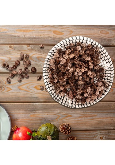 Doğal Kurutulmuş Çam Kozalak Seti-75 Gr, Hobi Ve Yılbaşı Süsü, Hediye Paketleme, 45-50 Adet - 2-3 Cm