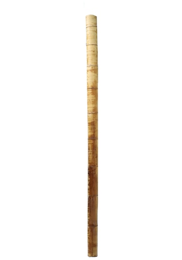 Dekoratif Bambu Xl
