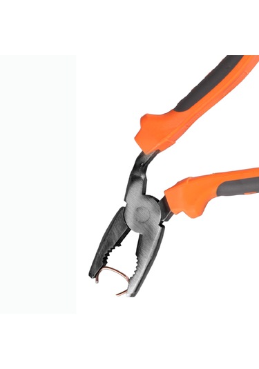 Kargaburun-kavrama Pensesi