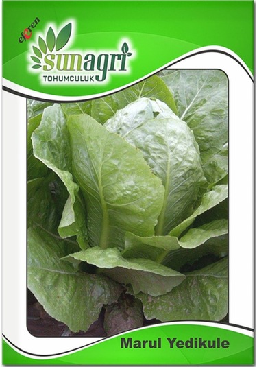 Marul Yedikule Tohumu 10gr Paket Sebze Tohumu