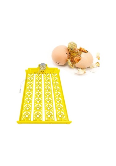 Pazly Otomatik Yumurta Çevirme Makinesi Kuluçka Tavuk Suntek Ac-12v Pm