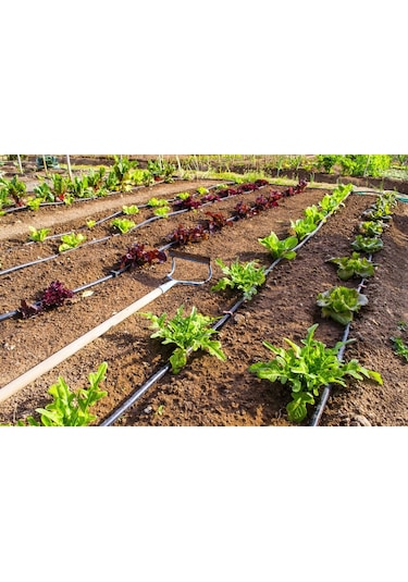 DAMLAMA SULAMA BORU SABİTLEME KAZIĞI KISA 15CM (100 ADET)