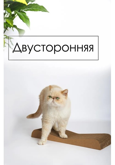 Zver'e Moe Karton Kedi Tırmalama Tahtası Dune 451638792