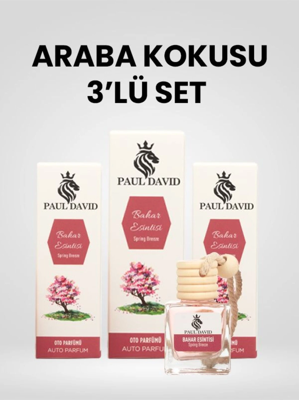 Dekoratif Araç Oto Kokusu 3 Lü Set Bahar Esintisi