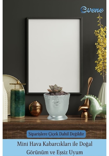 Kaktüs Saksısı Dekoratif Saksı Model 6 - Gümüş