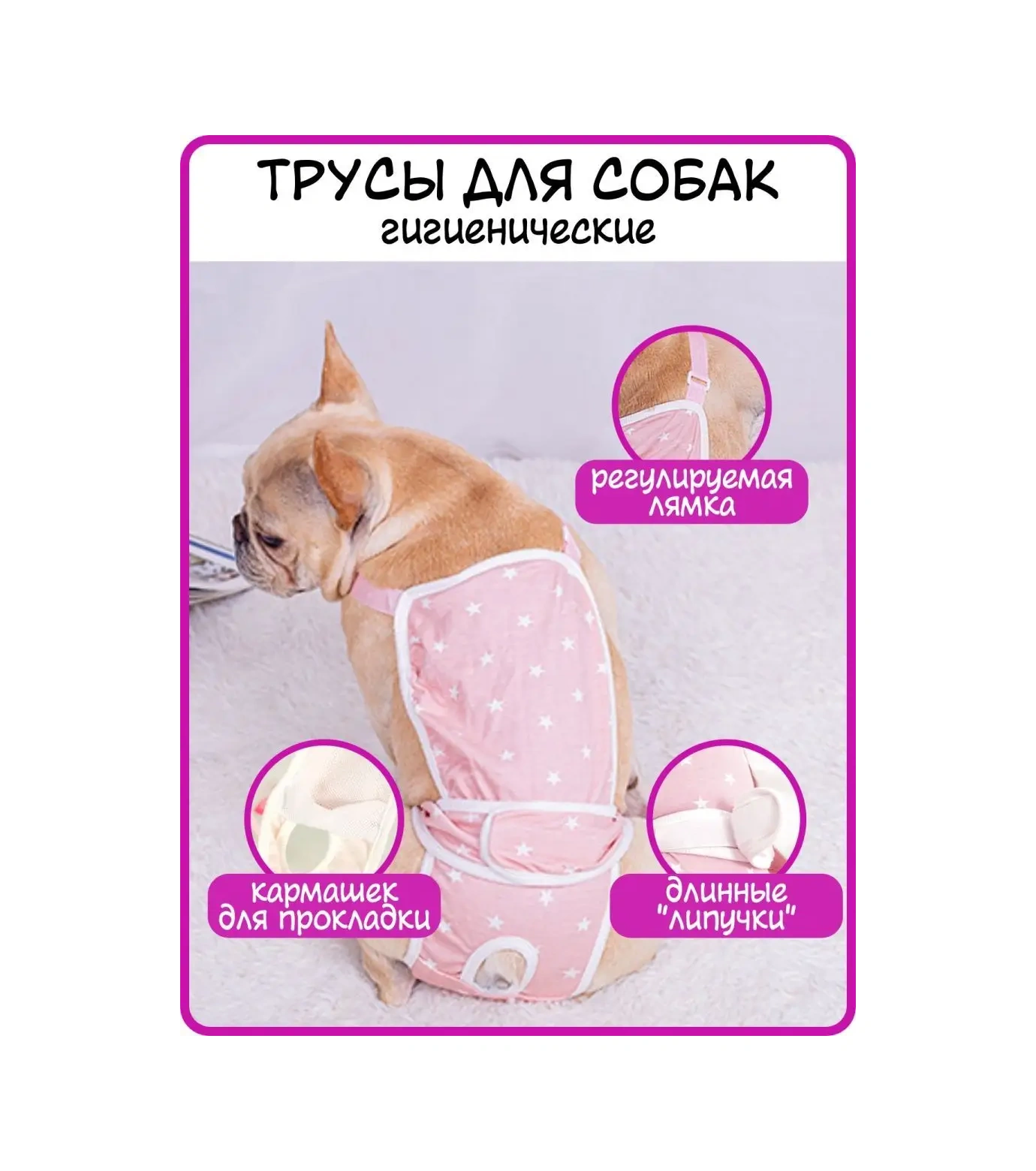 Best Golden Monkey Köpekler İçin Külot 95581082