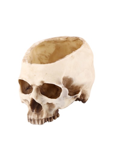 Konesam Büyük Boy Reçine Kafatası Süs Tepsisi - Bitki Yetiştirme, Atıştırmalık Depolama, Bar Ve Halloween Dekorasyonu