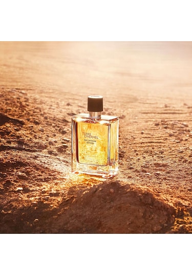 Hermes Terre D'Hermes Erkek Parfüm EDT 200 ML