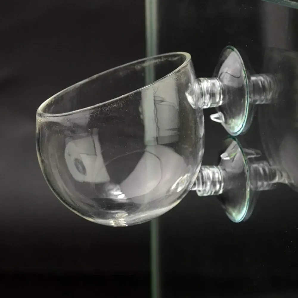 Kosona Akvaryum Cam Bitki Süs Tepsisi, Su Bitkileri İçin Güneş Işığı Alımı Ve Su Kalitesi İyileştirici, Sürekli Emiciyle Sabitlenir