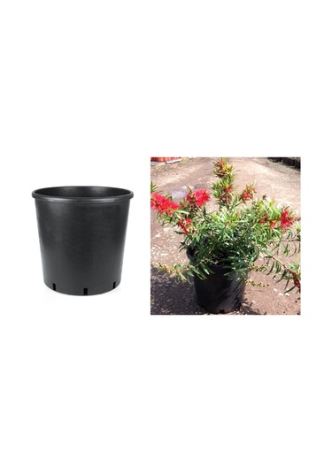 SİYAH ÜRETİM SAKSISI 50 ADET - 5 LT 21 CM