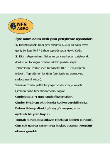 Kedi Çimi Tohumu 750 GR