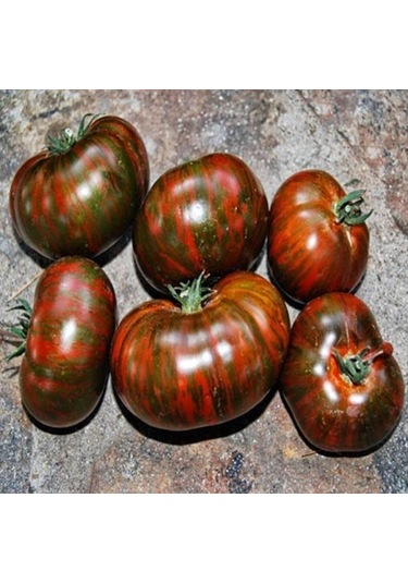 Black Zebra Domates Tohumu 15 Tohum 1 Set