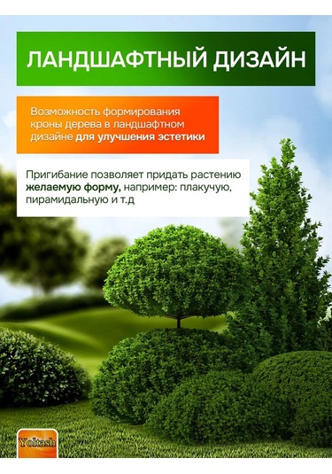 Yoltash Meyve Ağaçları İçin Dal Destekleyici 473581037