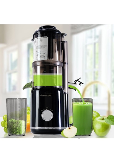 Rowenger PUE-2109N Slow Juicer Yavaş Sıkım Katı Meyve Sıkacağı