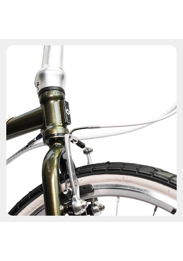 Dahon Boardwalk D8 20 Jant Katlanır Bisiklet 8v Yeşil Siyah
