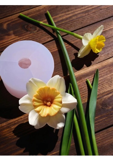 Koroleva Formy Gıda İçin Silikon Kalıp Nergis 305251572 Diğer