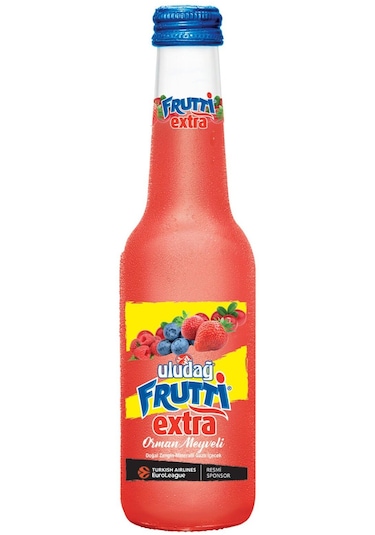 Uludağ Frutti Extra Orman Meyveli 250 Ml X 24 Adet