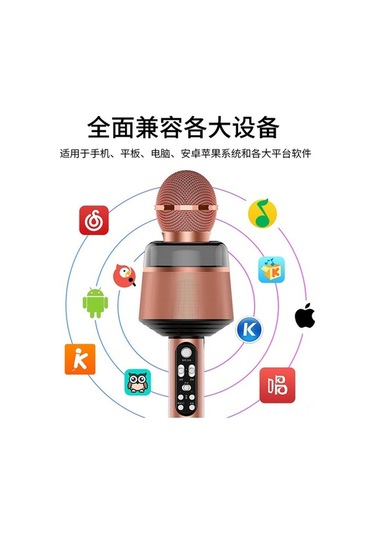 Fortunelane Modelleri Q008, Renkli Işık Ve Ses Efektli Kablosuz Bluetooth Mikrofon, Taşınabilir Ktv Deneyimi