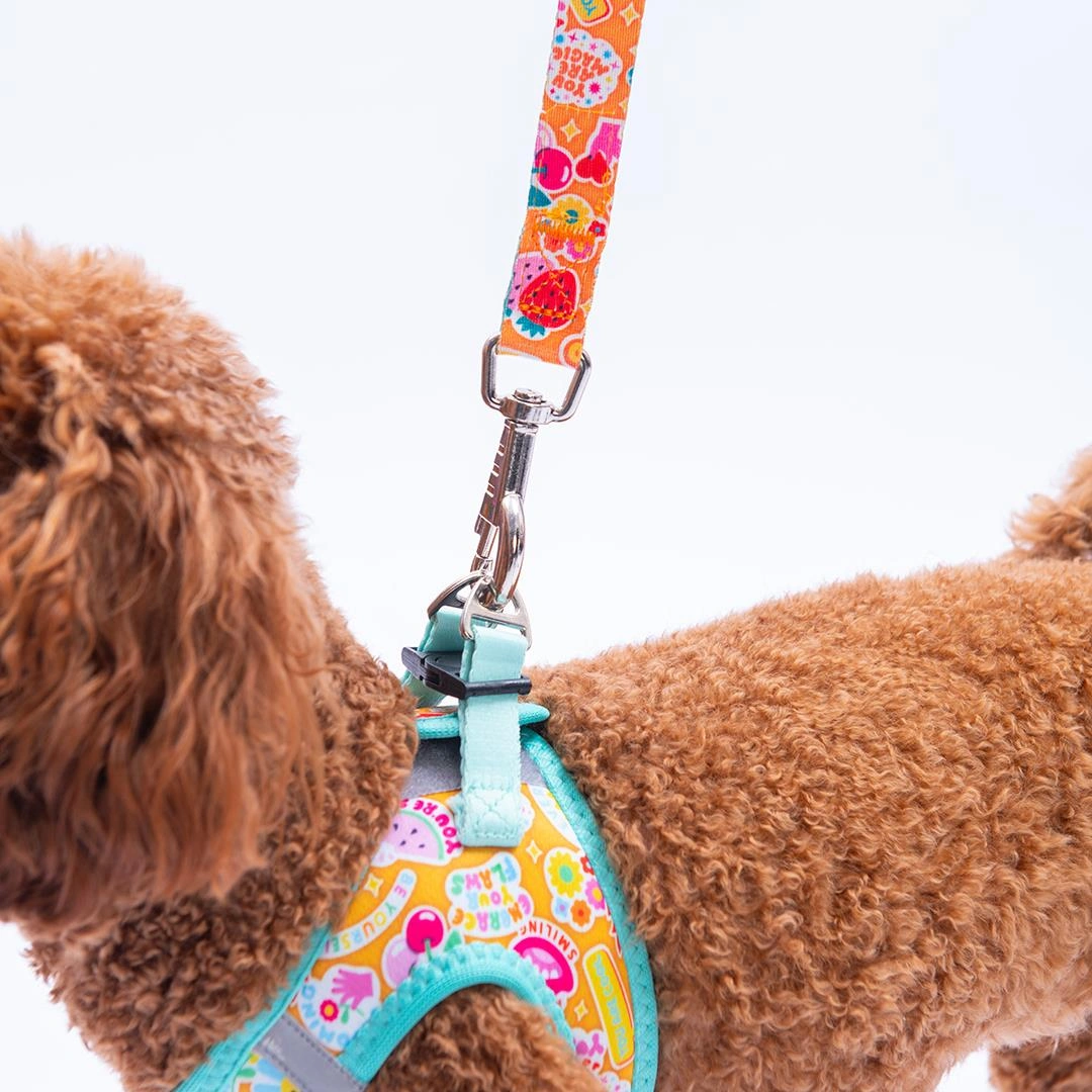 Pixsy Pals Göğüs Tasması Ve Sevk Kayışı Tasma Seti Emojili Kedi Köpek Göğüs Tasması Seti Mint