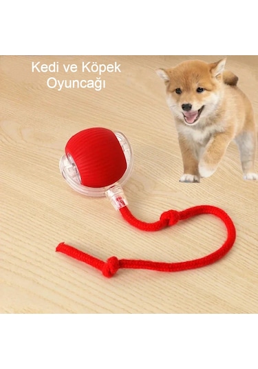 Akıllı Kendiliğinden Dönen Kedi Oyuncağı 360 Şarjlı Hareket Eğlence ve Egzersiz Kırmızı