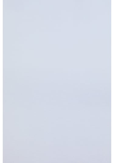 U.S. Polo Assn. U.s. Polo Assn. Kadın Açık Mavi Gömlek Basic 50324791-vr003 Acık Mavı