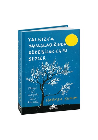 Yalnızca Yavaşladığında Görebileceğin Şeyler Ciltli