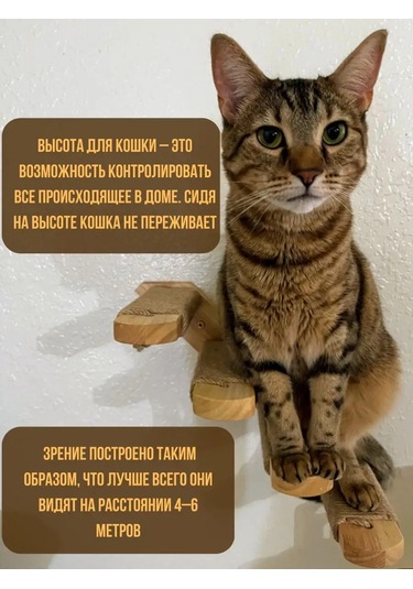 Go Cats Tırnak Törpü Merdiveni Sağ 142902982