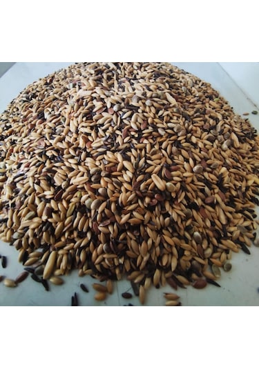 Natural Şalgamsız Karışık Kanarya Yemi 1 KG