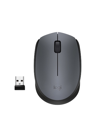 Logıtech M170 Kablosuz Siyah Mouse