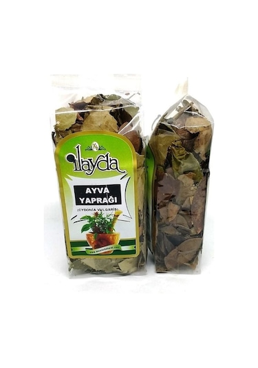 İlayda Ayva Yaprağı 30 G