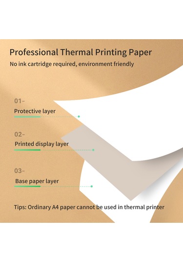 Singree A4 Hızlı Kuruyan Termal Kağıt Rulo - 2 Rulo/paket, A40 Yazıcı Uyumlu, Yağ Ve Sürtünmeye Dayanıklı, Bpa İçermez
