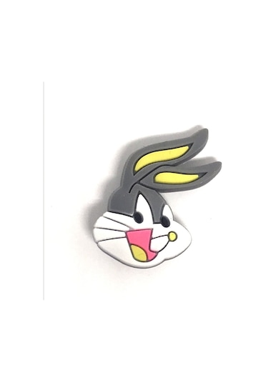 Crocs Terlik Süsü & Renkli Aksesuar Jibbitz (438628144)