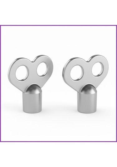 Radyatör Prujör Petek Havlupan Hava Alma Purjör Anahtarı 2 Adet