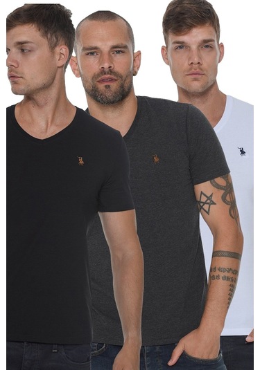 Üçlü Set T8568 Dewberry V Yaka Erkek T-shırt-siyah-beyaz-antrasit Siyah-beyaz-antrasit