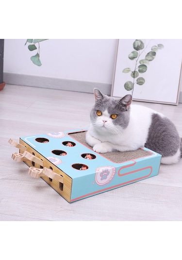 Homyl Çok Fonksiyonlu Yaratıcı Kedi Tırmalama Tahtası