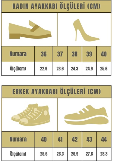 Silvera Gümüş Kadın Stiletto Topuklu Ayakkabı Gümüş