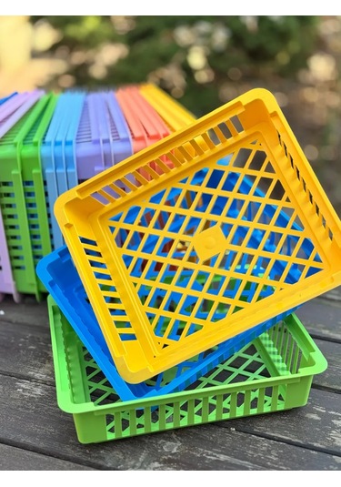 Domdacaogorod Soğanlı Bitkiler Ve Kelebek Yetiştirme Sepeti 383849206