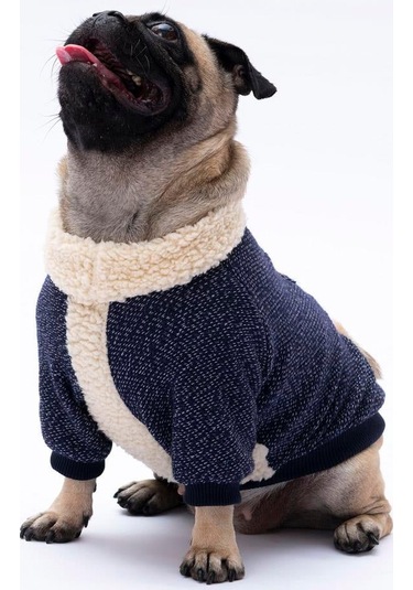 Pawstar Lacivert Alaska Esnek, Küçük Irk Köpek Trikosu