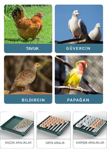 Slim Model 130 Lu Gün Sayaçlı Tam Otomatik Kuluçka Makinesi Yedek Motor + Su Kabı + Qr Videolu Kur