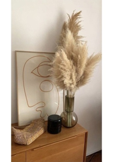 Pampas 10 Adet