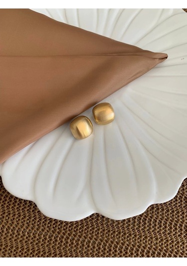 Çelik Bombeli Plaka Küpe Çok Renkli