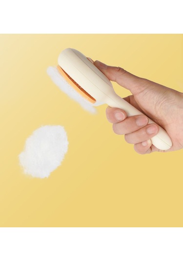 Lichen 2 Adet Evcil Hayvan Tarağı, Kedi Tarağı, Paslanmaz Çelik