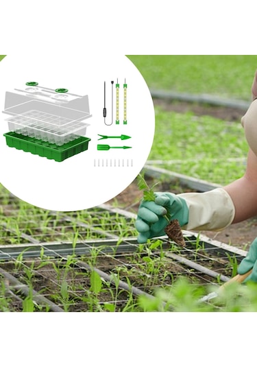 Homyl Tohum Başlatma Tepsisi Grow Light Full