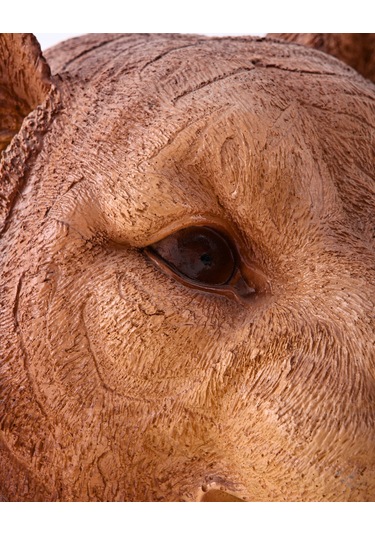 Bars Kaplan Biblo & Heykel & Büst & Figür