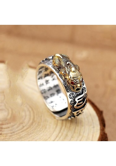 Altın Çin Feng Shui Pirinç Pixiu