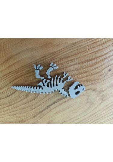Dinozor İskeleti Bulmacası